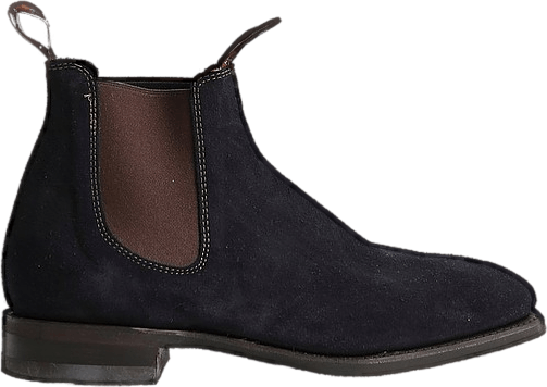 Blaxland G Suede Elast N R9