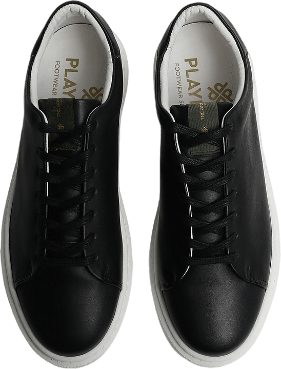 Sneakers Alex  Leather