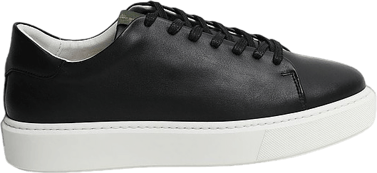 Sneakers Alex  Leather