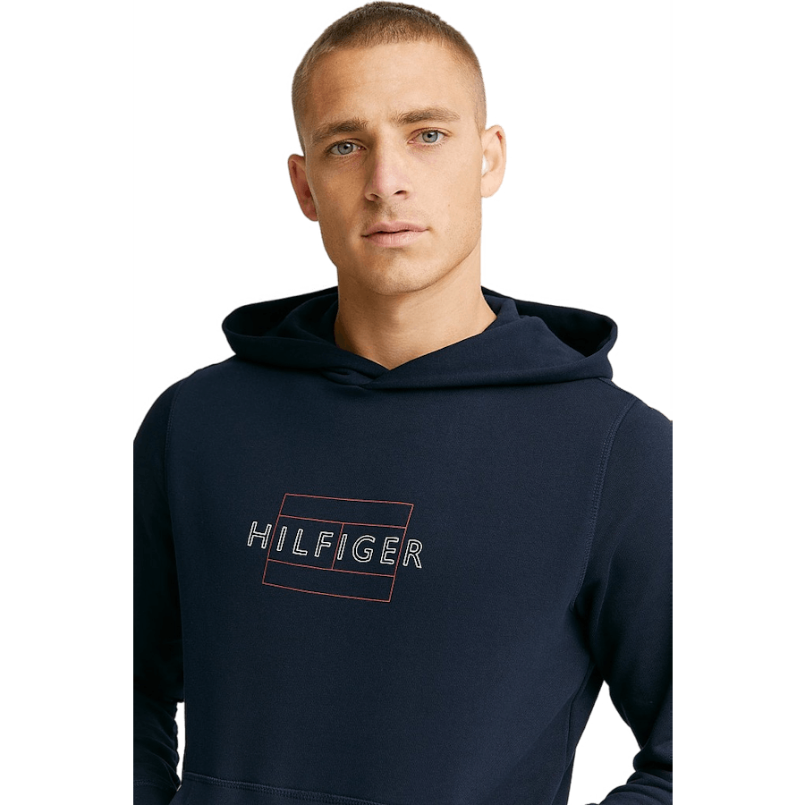 Tommy Hilfiger Linear Flag Hoody Dw5