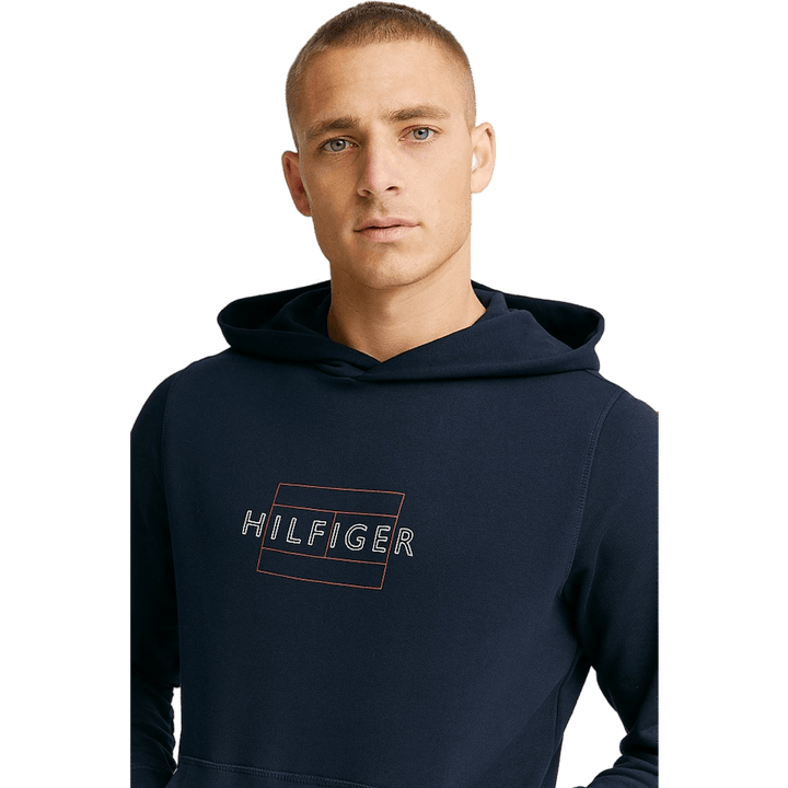 Tommy Hilfiger Linear Flag Hoody Dw5