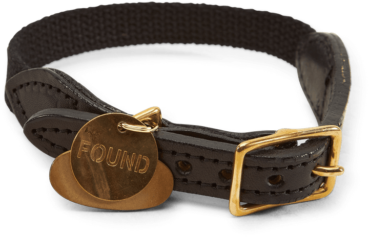 Found My Animal / Cl-collar Black