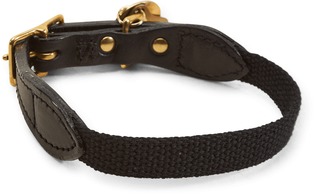 Found My Animal / Cl-collar Black