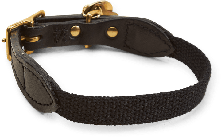 Found My Animal / Cl-collar Black