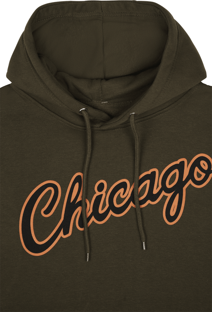 Sweat à capuche Bulls Script Flight