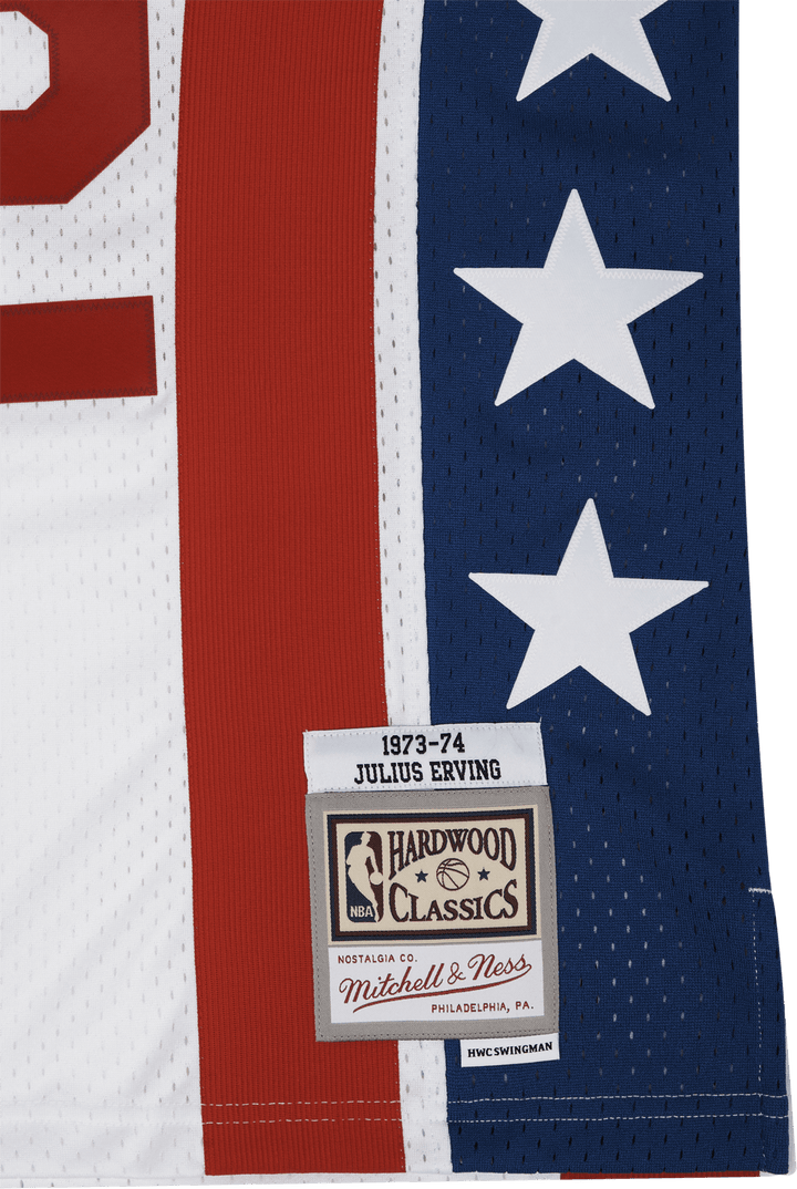 Maillot Swingman - Julius Ervin
