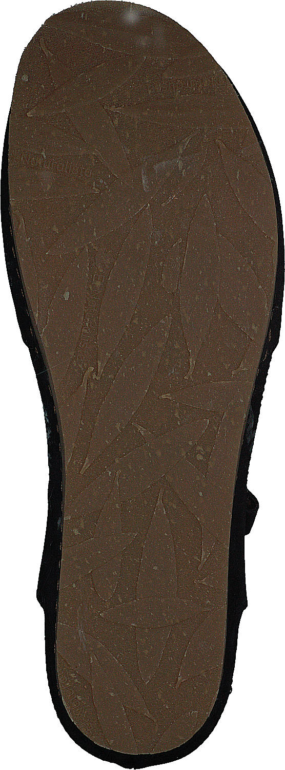 Picual Pleasant Black