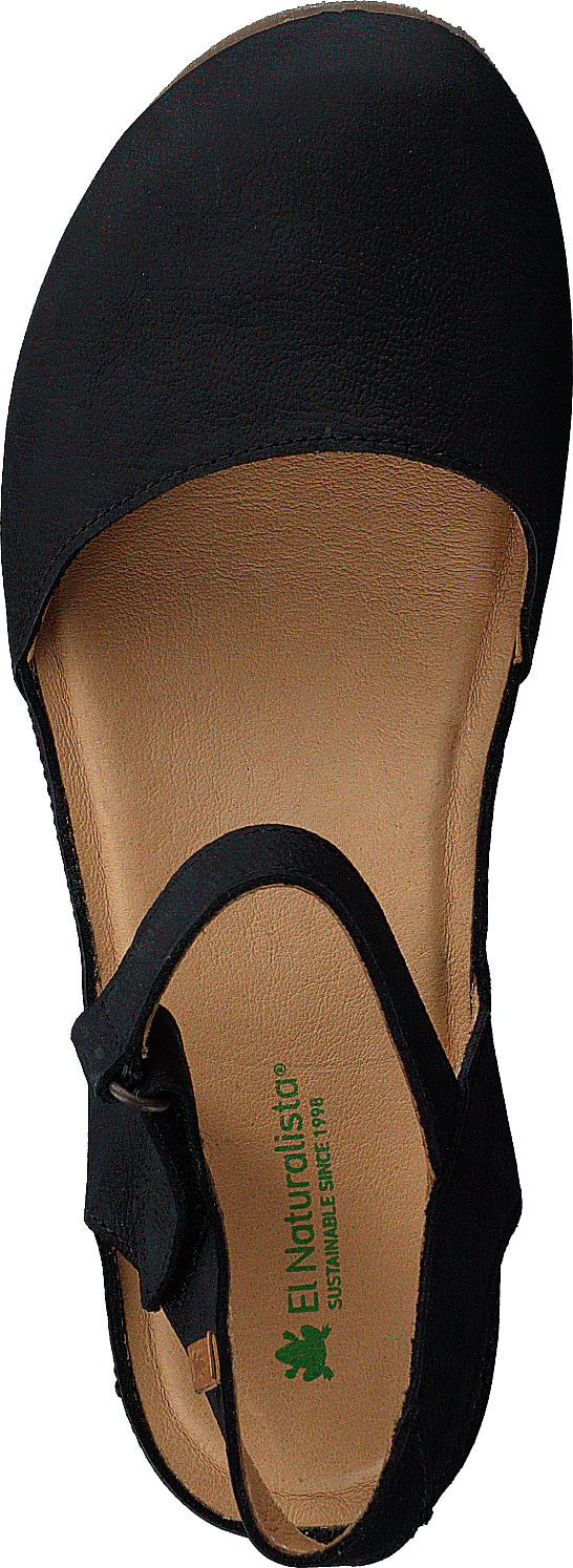 Picual Pleasant Black
