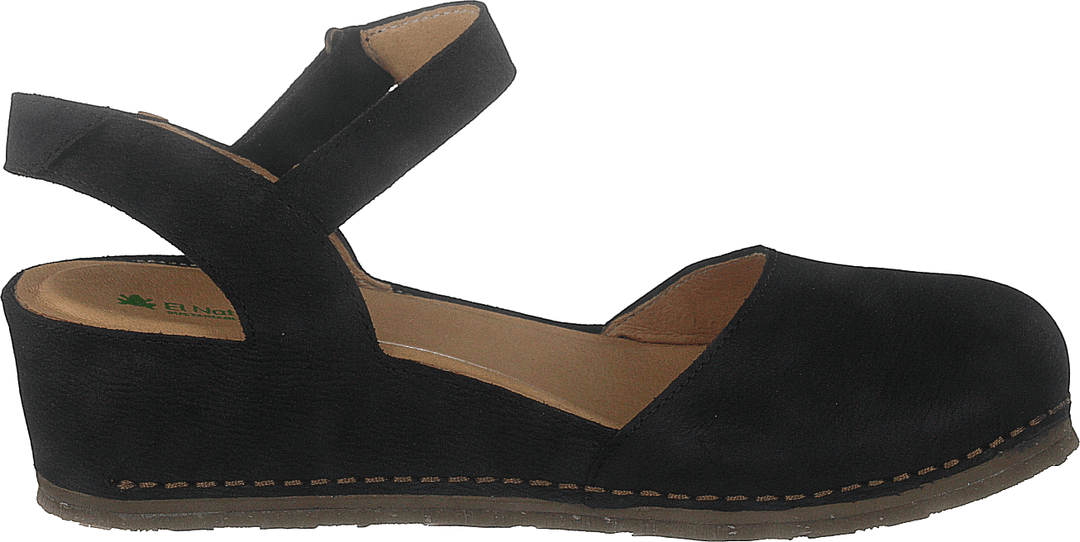Picual Pleasant Black