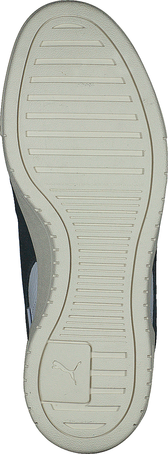 Ca Pro Lux Puma - õhtune taevas