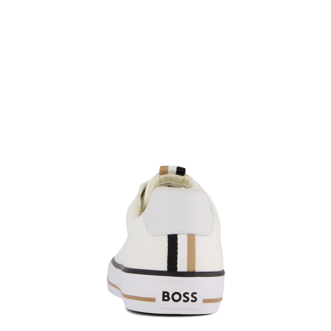 BOSS Aiden_tenn_cv 10242000 01