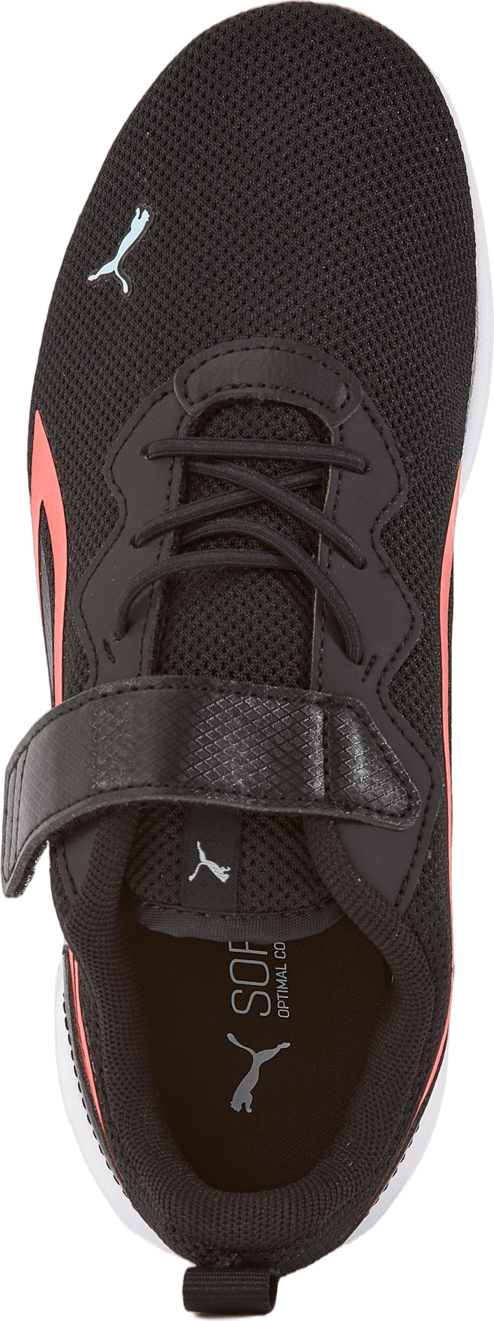 All-day Active Ac+ Ps Puma Black-salmon-light Aqua