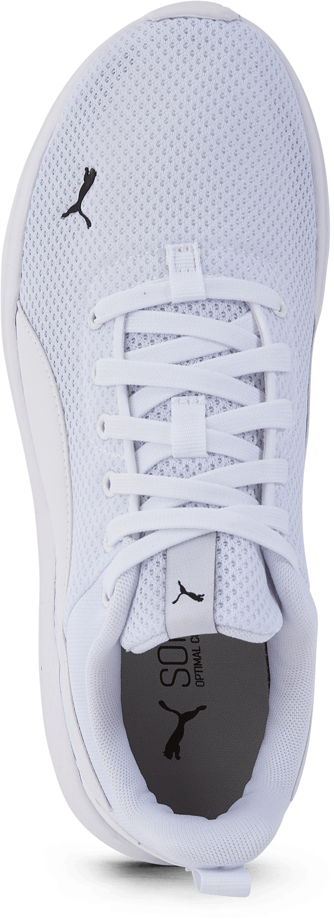 Anzarun Lite Puma White-puma White