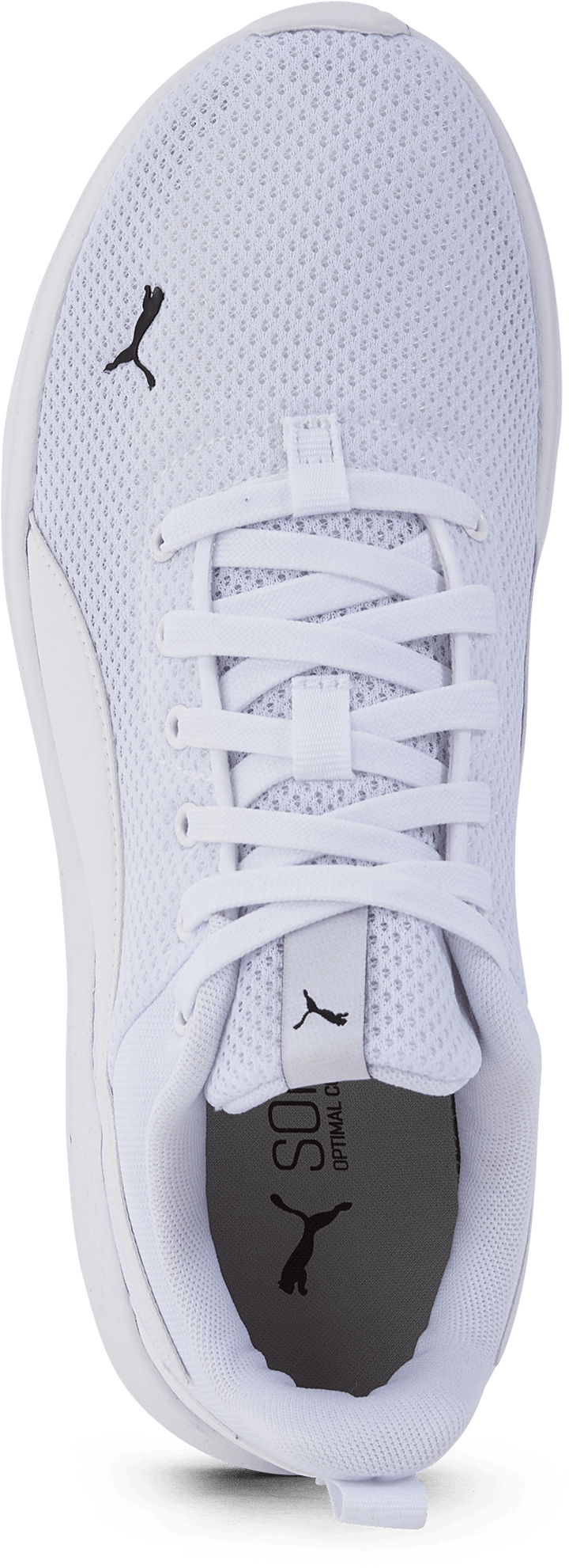 Anzarun Lite Puma White-puma White