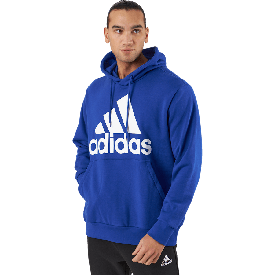 Essentials French Terry Big Logo Hoodie Selubl