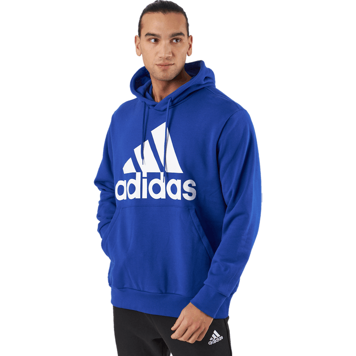Essentials French Terry Big Logo Hoodie Selubl