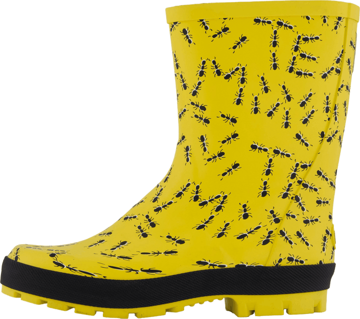 Splash Yellow Ants