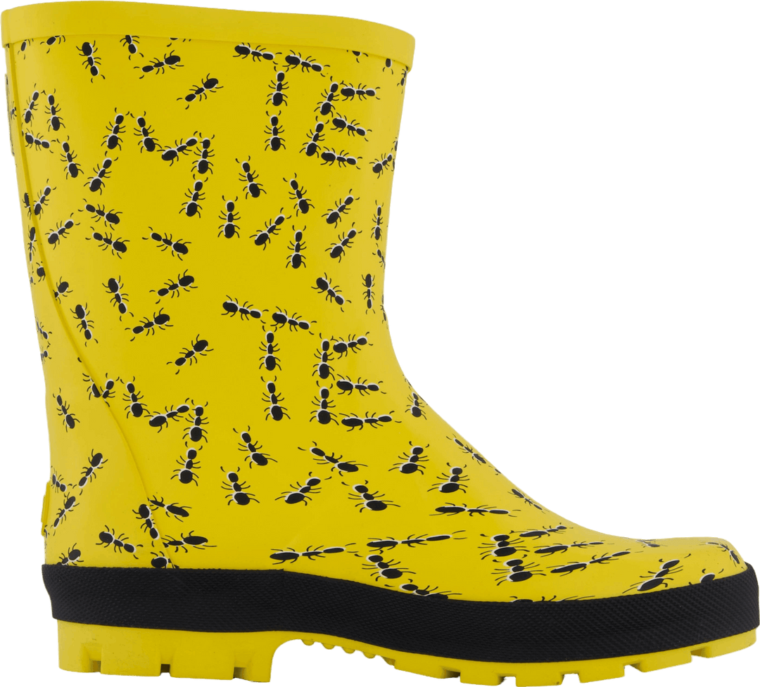 Splash Yellow Ants