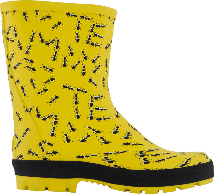 Splash Yellow Ants