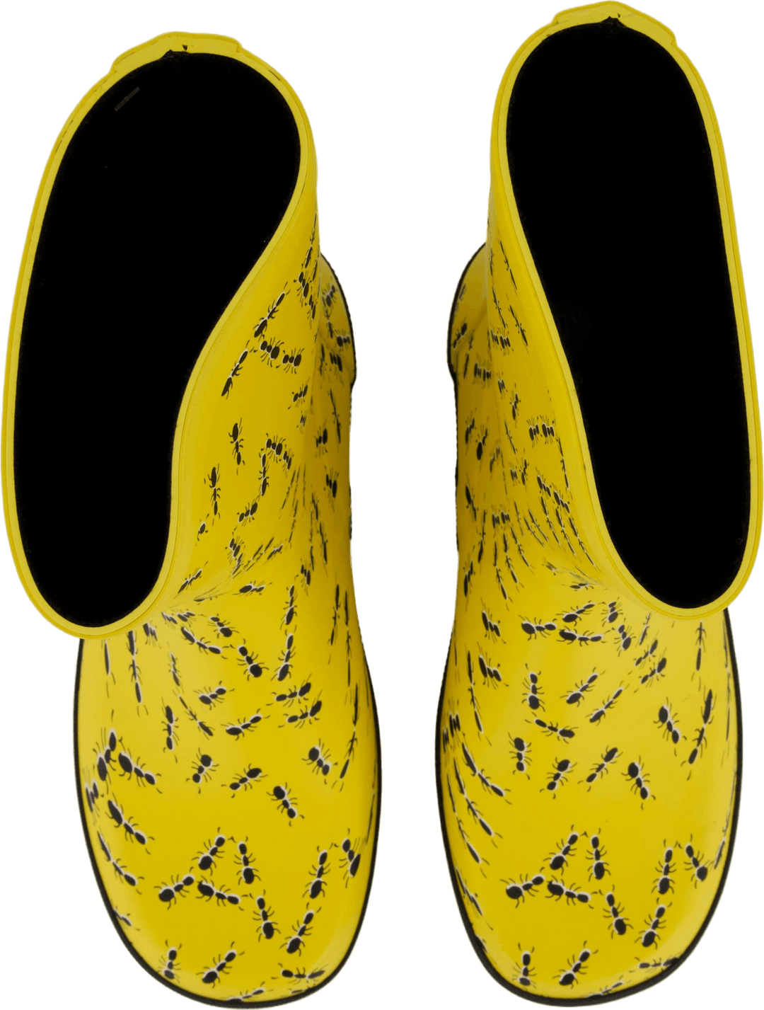 Splash Yellow Ants