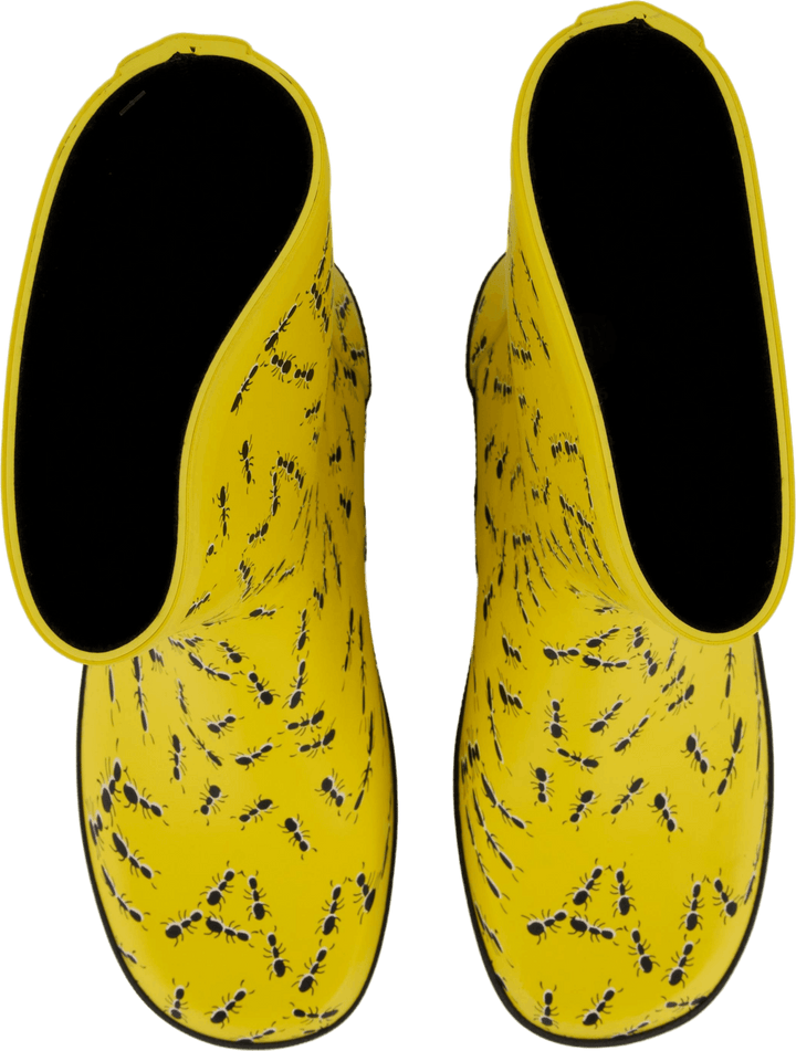 Splash Yellow Ants