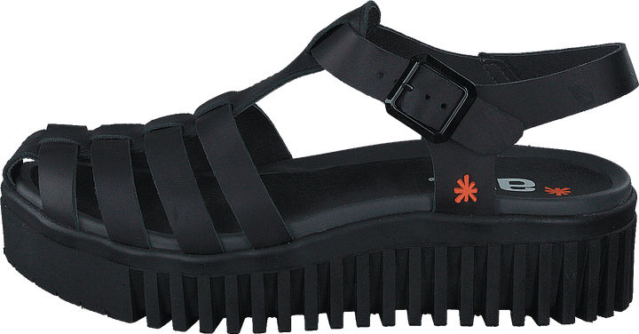 Brighton Black