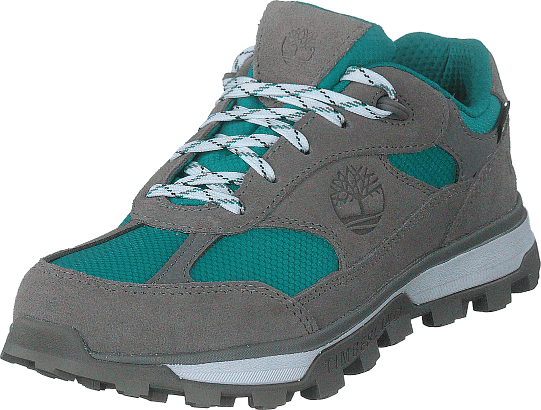 Trail Trekker Low Gtx Slonja koža
