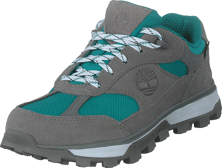 Trail Trekker Low Gtx Slonja koža