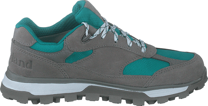 Trail Trekker Low Gtx Slonja koža