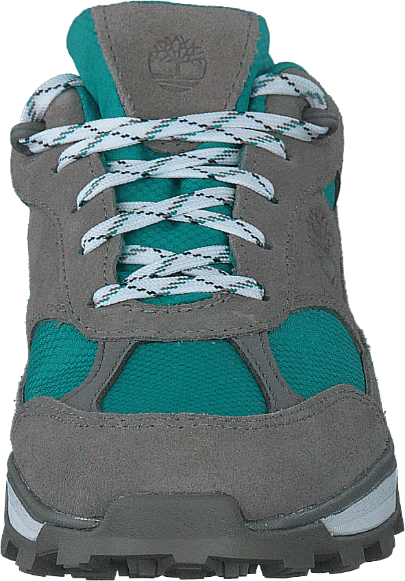 Trail Trekker Low Gtx Slonja koža