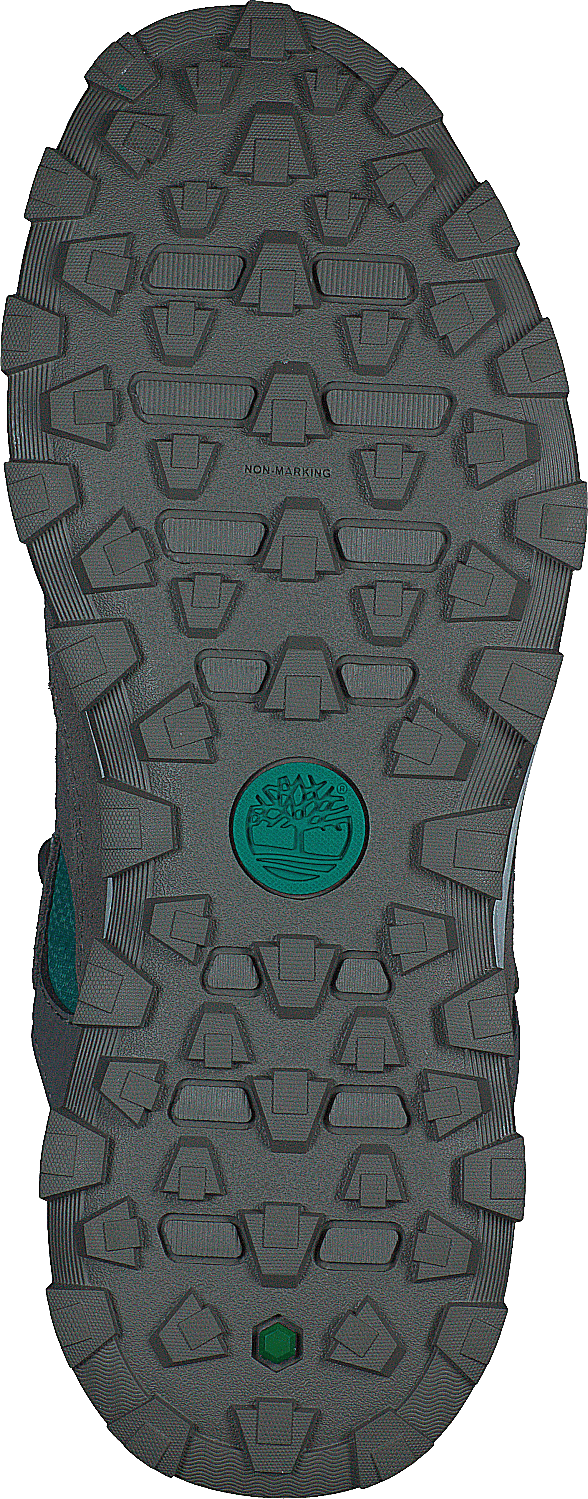 Trail Trekker Low Gtx Slonja koža