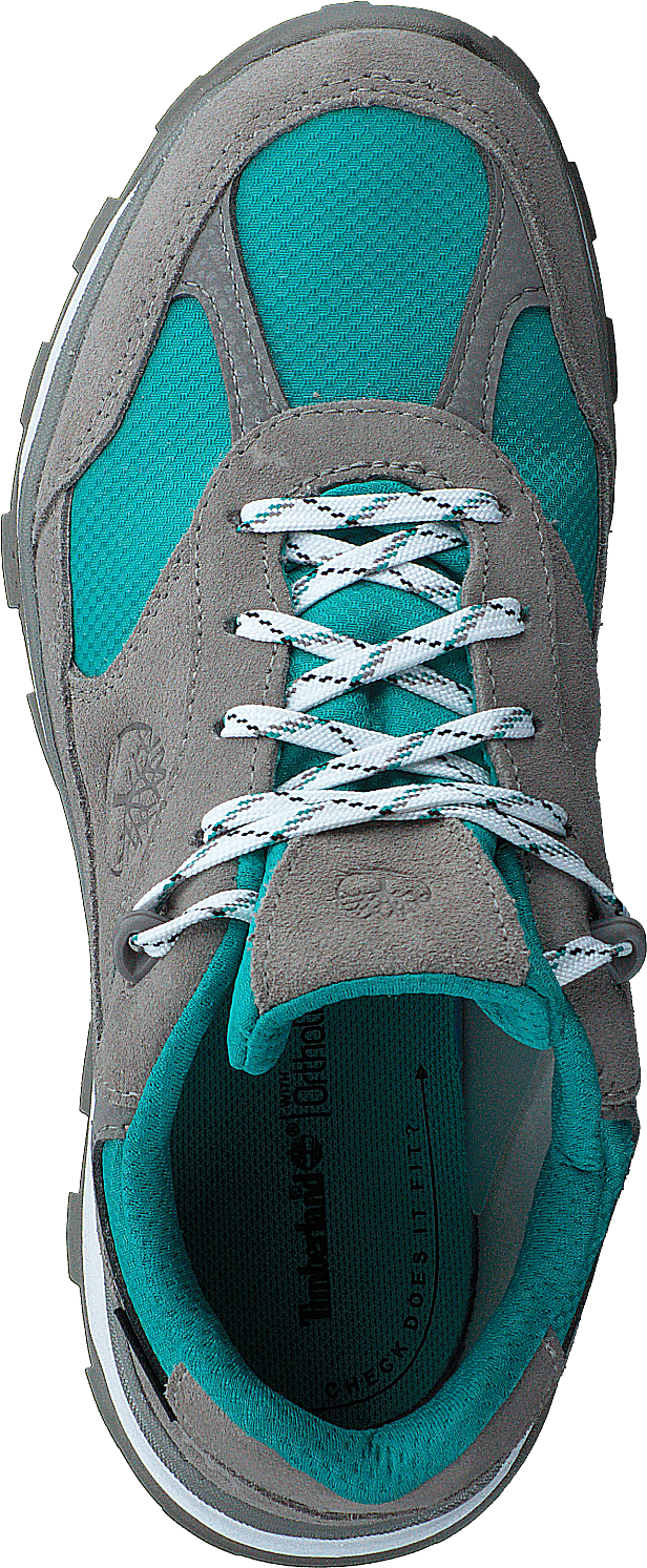 Trail Trekker Low Gtx Slonja koža