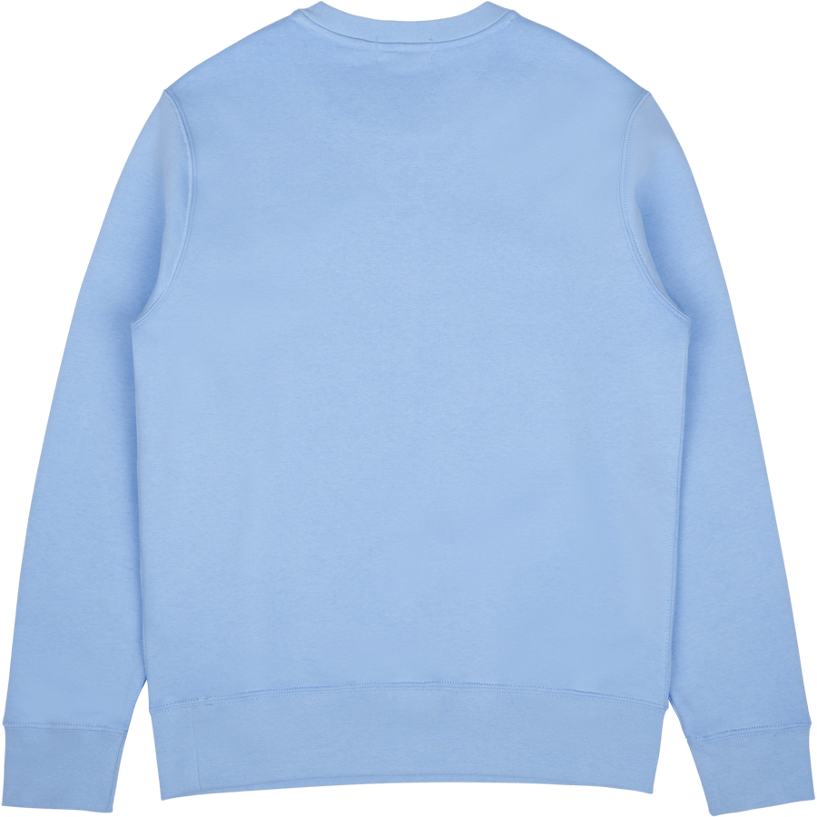 Polo Ralph Lauren Graphic Fleece Sweatshirt Sp23 Austin  Prp Hptn Bear