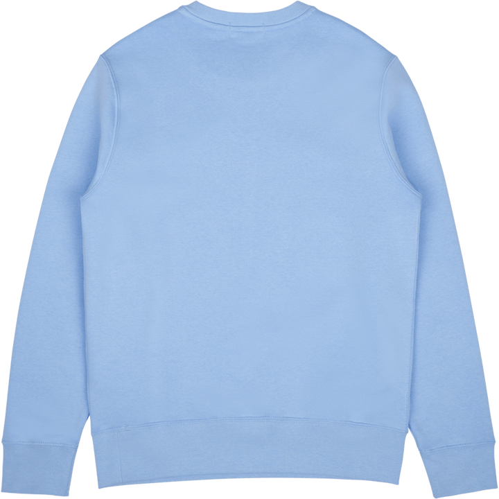 Polo Ralph Lauren Graphic Fleece Sweatshirt Sp23 Austin  Prp Hptn Bear