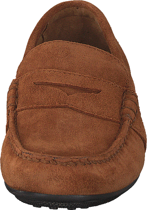 Reynold Suede Driver Teak