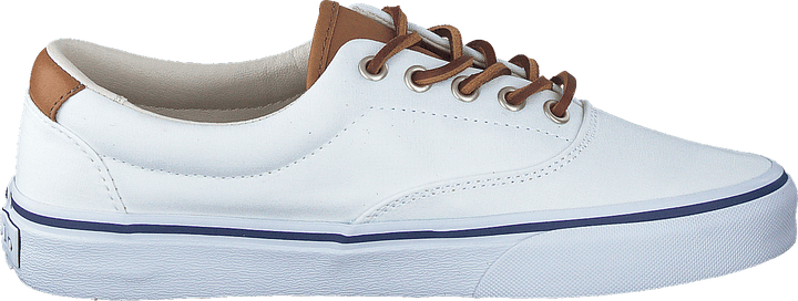 Keaton Canvas Sneaker White / Multi PP