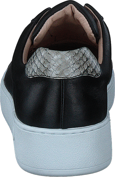 May Black/snake