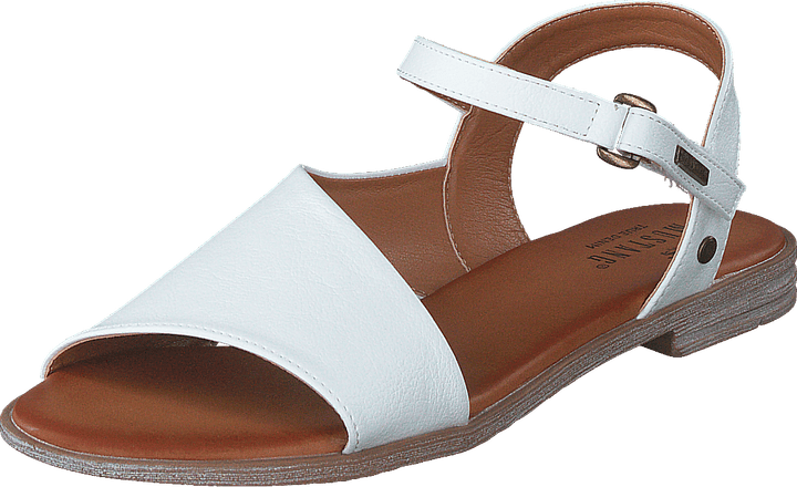 1388807 1 Blanc