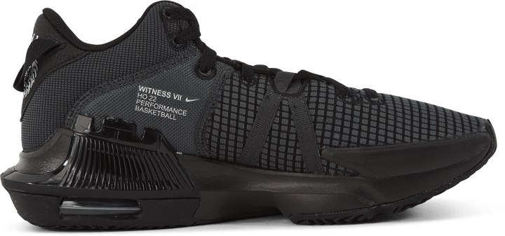 Lebron Witness VII
