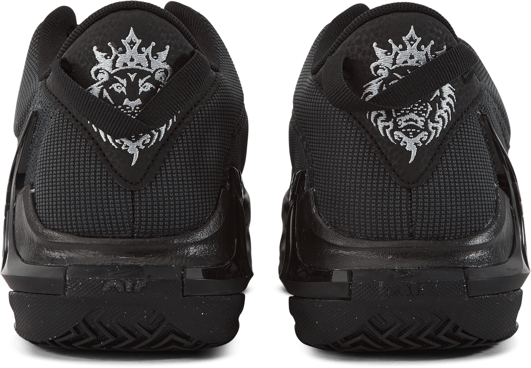 Lebron Witness VII