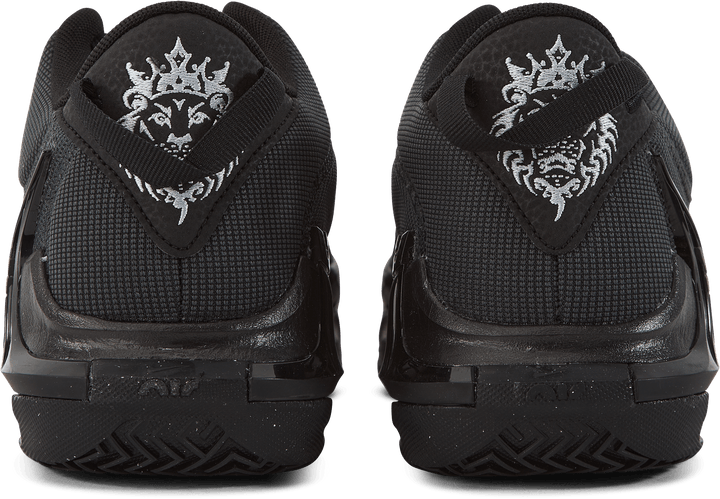 Lebron Witness VII