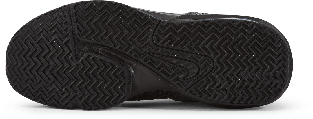 Lebron Witness VII