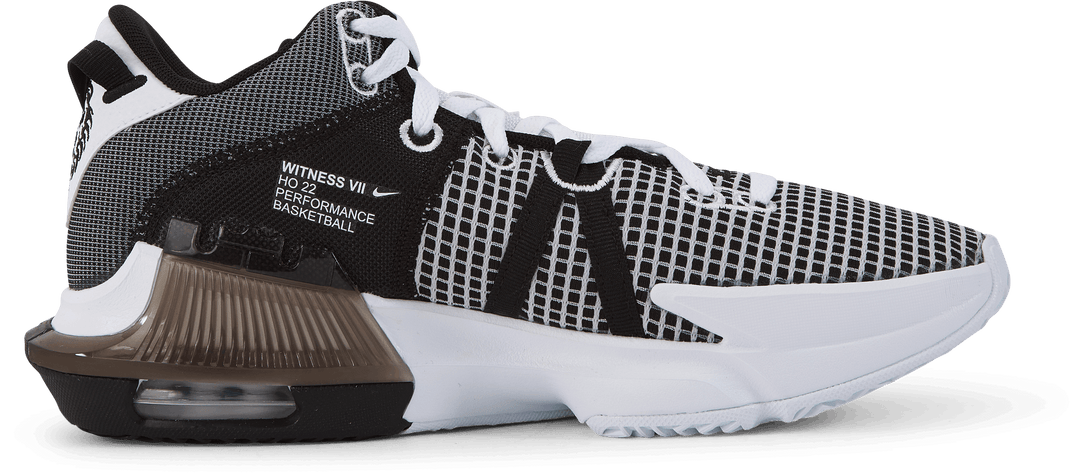 Lebron Witness VII