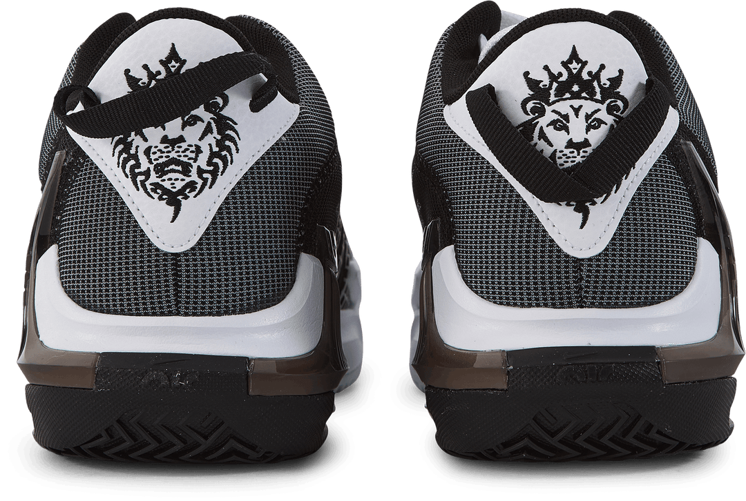Lebron Witness VII