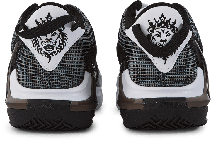 Lebron Witness VII