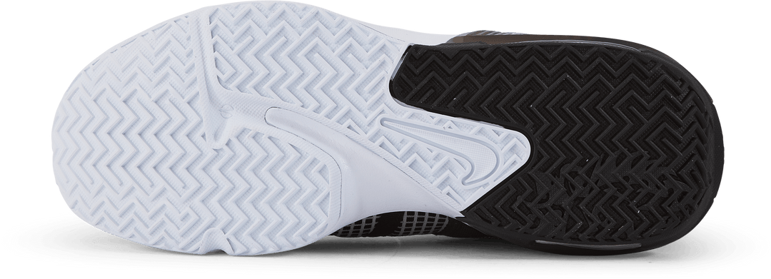 Lebron Witness VII