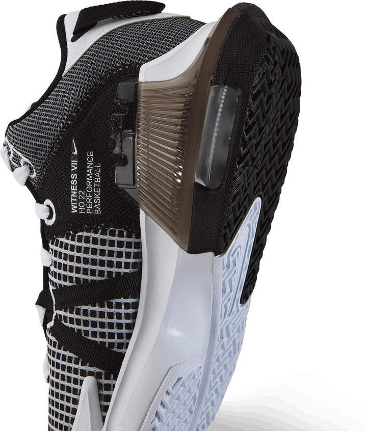 Lebron Witness VII