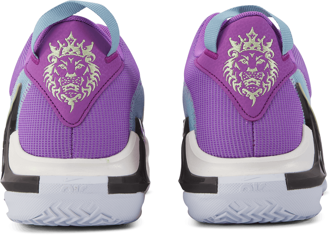 Lebron Witness VII