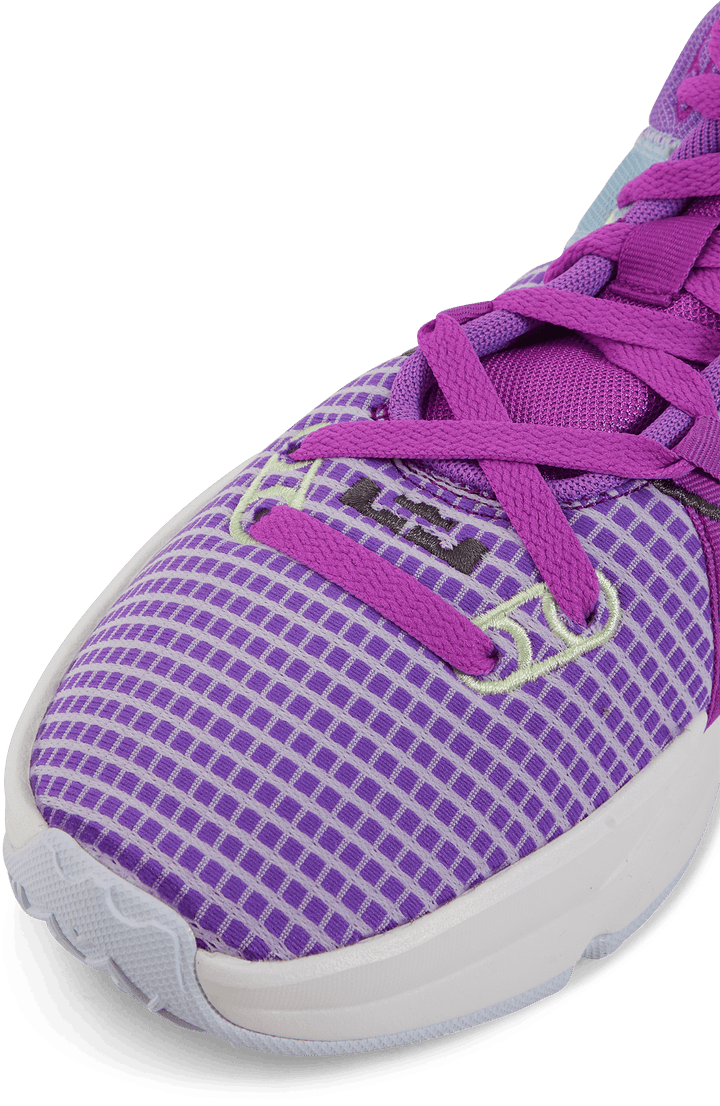 Lebron Witness VII