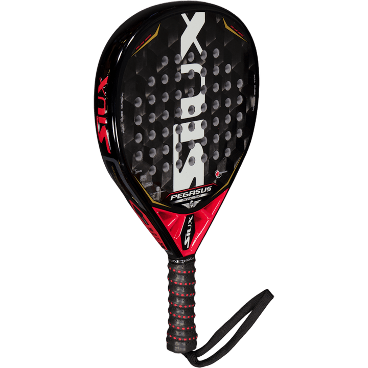 Siux Pegasus Revolution 3d Gra